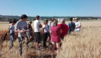 Photo tour de plaine PACA2017