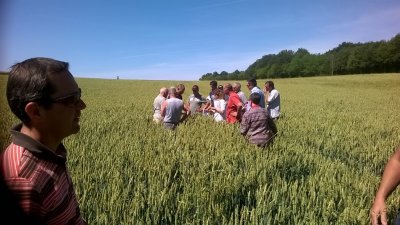 veigne 2017